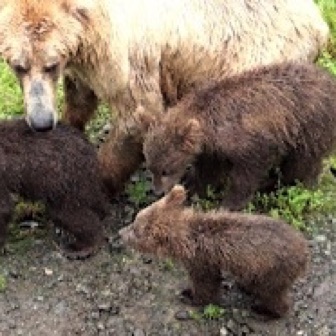 Screen Shot 2016-07-08 at 9.04.56 PM.jpg